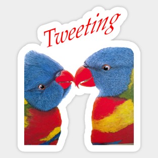 Rainbow Lorikeets :Tweeting Birds Sticker